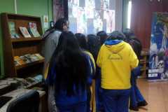 WhatsApp-Image-2026-05-12-at-11.55.01