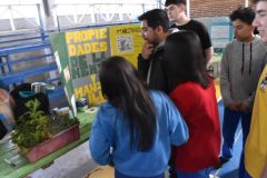 Feria_de-Ciencias_200