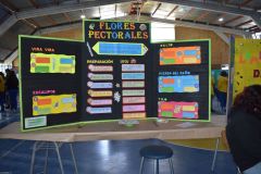 Feria_de-Ciencias_214
