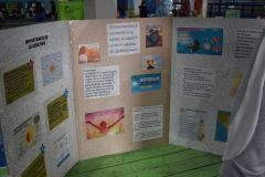 20251104_Feria_de_Ciencias_012