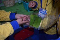 20251104_Feria_de_Ciencias_041